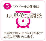 ベア・ドールの体重は1g単位で調整