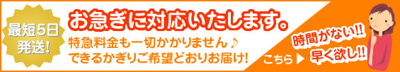 『早く欲しい!』を叶える お急ぎに対応可能ベアあります