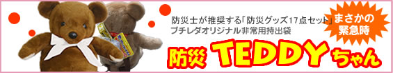 体重ベア まさかの緊急時、いつもそばにいるウェイトドールが家族を守る厳選の「防災グッズ充実の17点セット」防災TEDDYちゃん