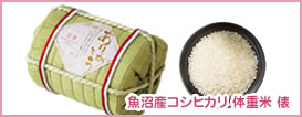 魚沼産コシヒカリ 体重米 俵