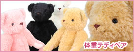 体重テディベア 体重ベア