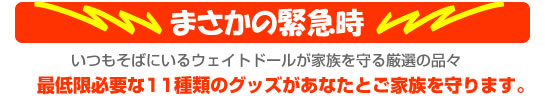 最低必要な１１種類のグッズ