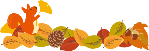 人形 ケース 保護