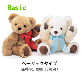 Basic ベーシックタイプ