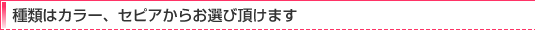 種類：カラー、セピア