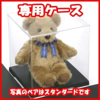 サンクステディベア 専用ケース