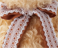 レース&ブラウン